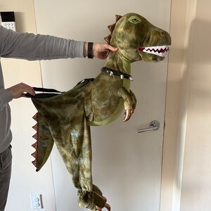 Kids Dinosaur Costume - Green